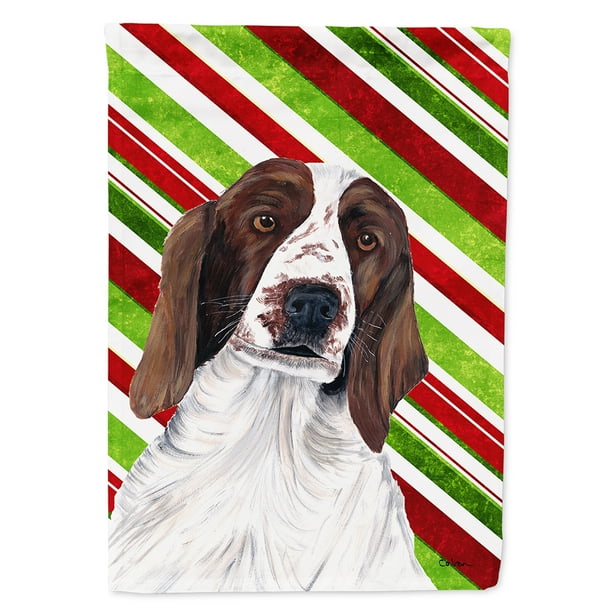 Carolines Treasures Welsh Springer Spaniel Snowflakes Night Light 6 x 4 Multicolor Carolines Treasures Welsh Springer Spaniel Snowflakes Night Light 6 x 4 Multicolor